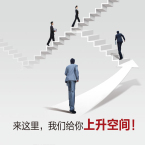 经营副总