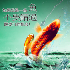 给排水工程师